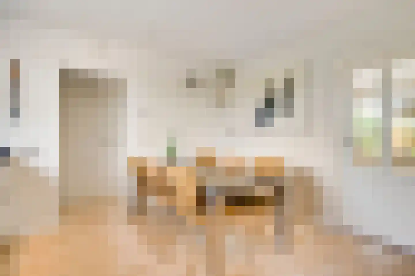 Roothweg 8 Meterik thumbnail 25