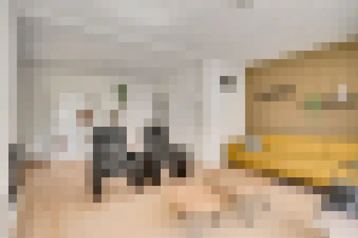 Roothweg 8 Meterik thumbnail 31