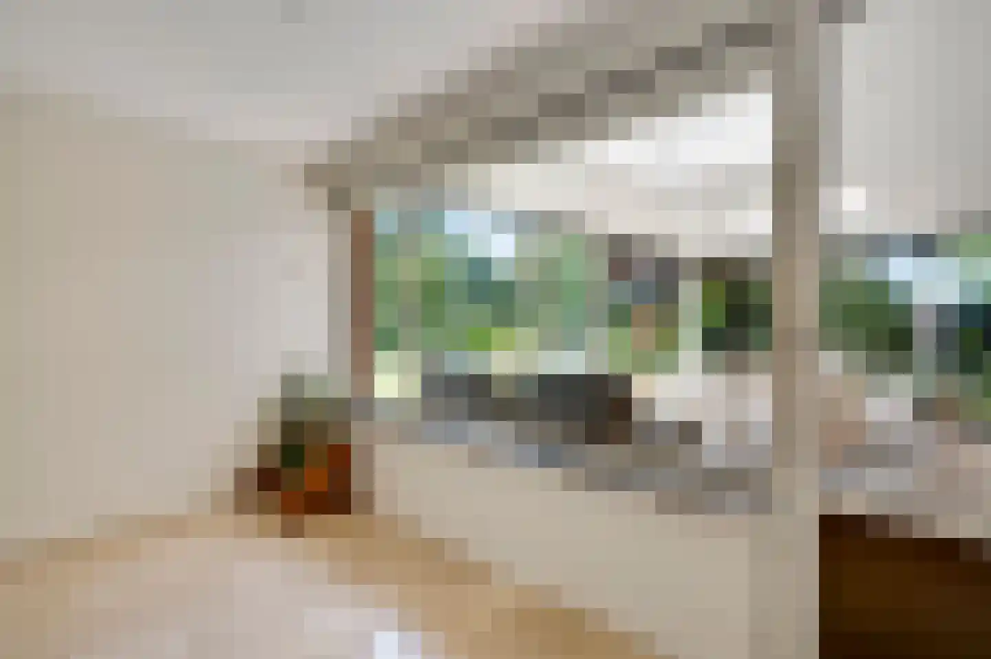 Roothweg 8 Meterik thumbnail 38