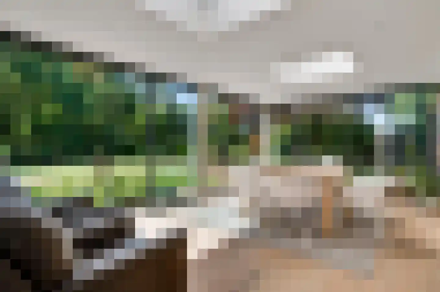 Roothweg 8 Meterik thumbnail 4