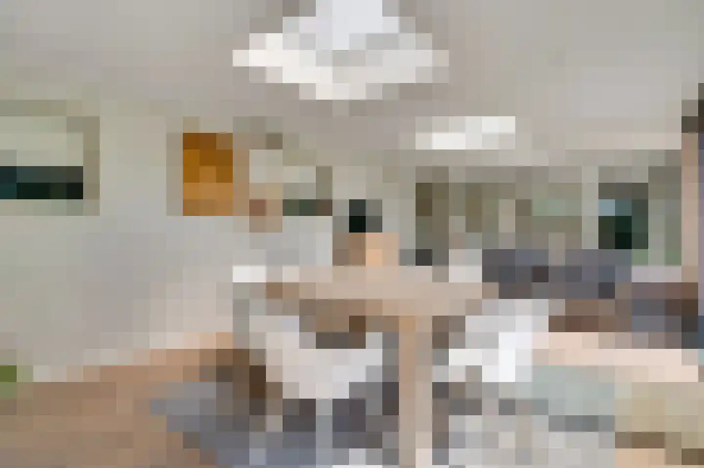 Roothweg 8 Meterik thumbnail 41