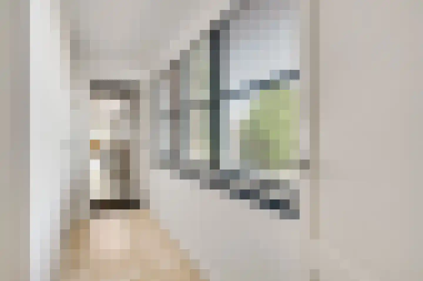 Roothweg 8 Meterik thumbnail 43