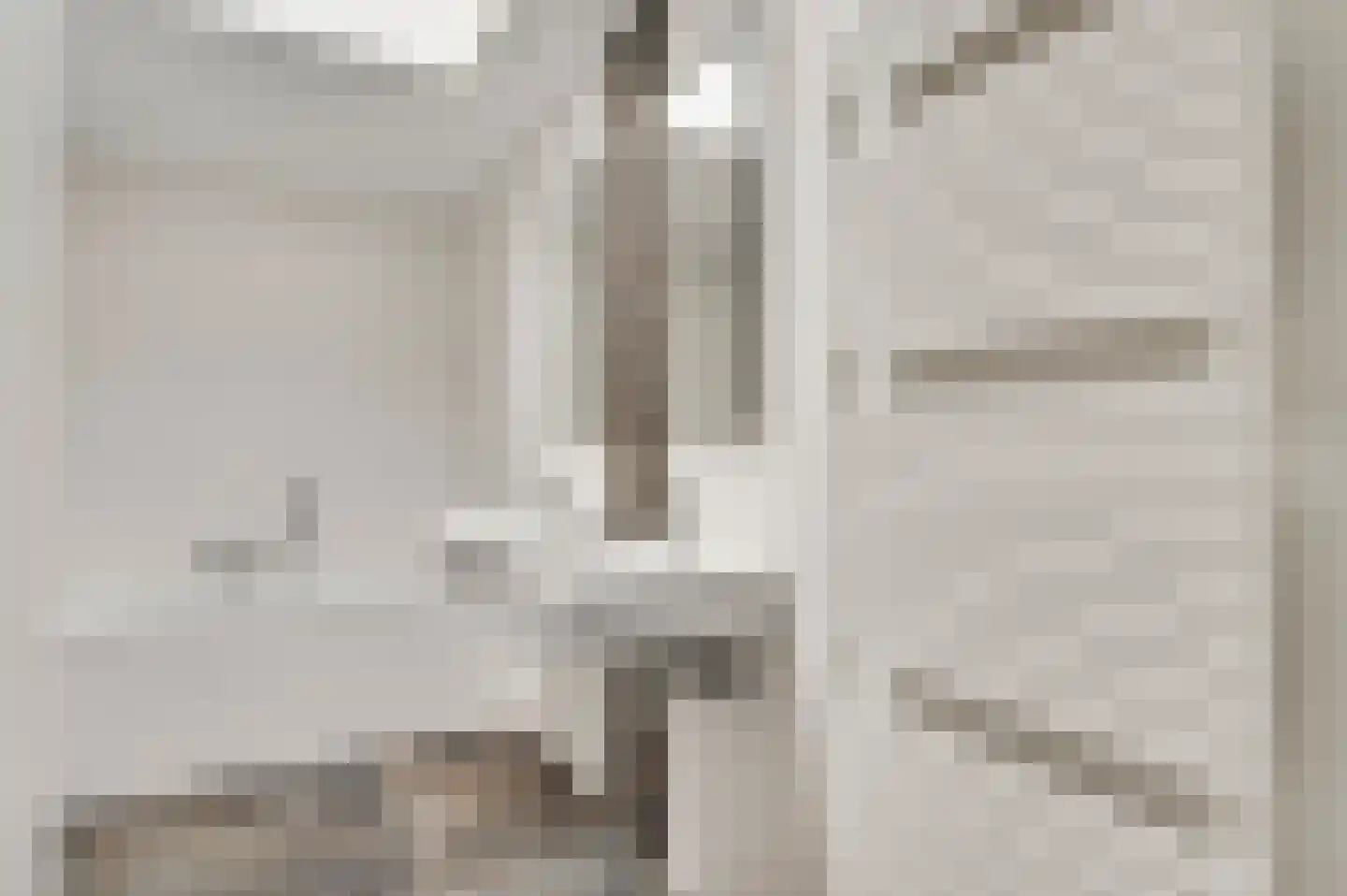 Roothweg 8 Meterik thumbnail 45