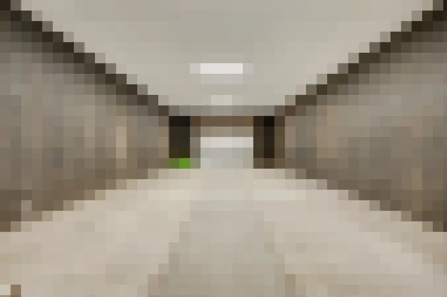 Roothweg 8 Meterik thumbnail 55