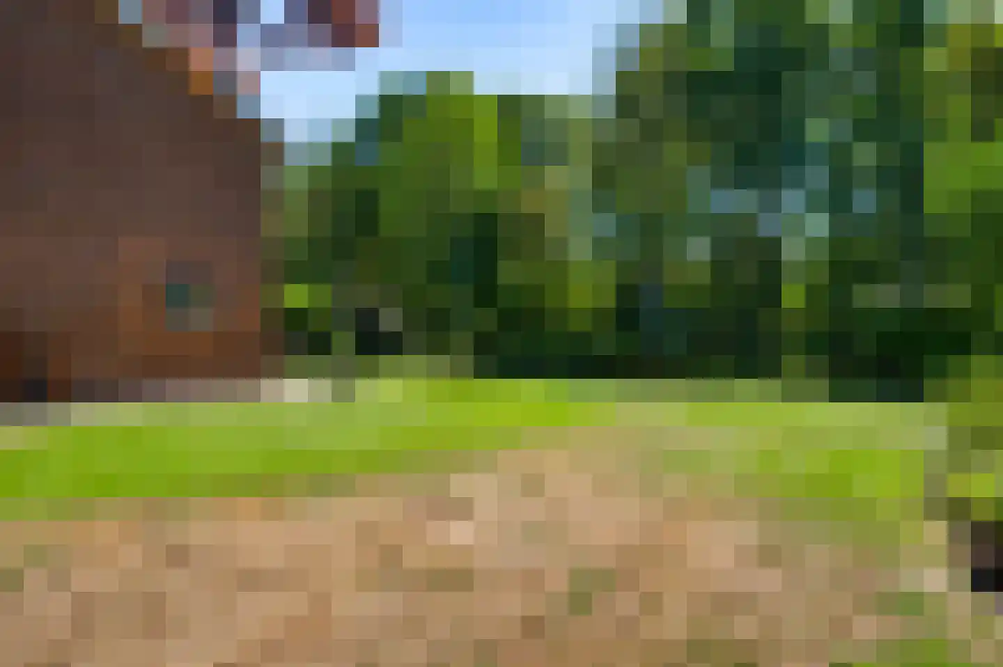 Roothweg 8 Meterik thumbnail 64