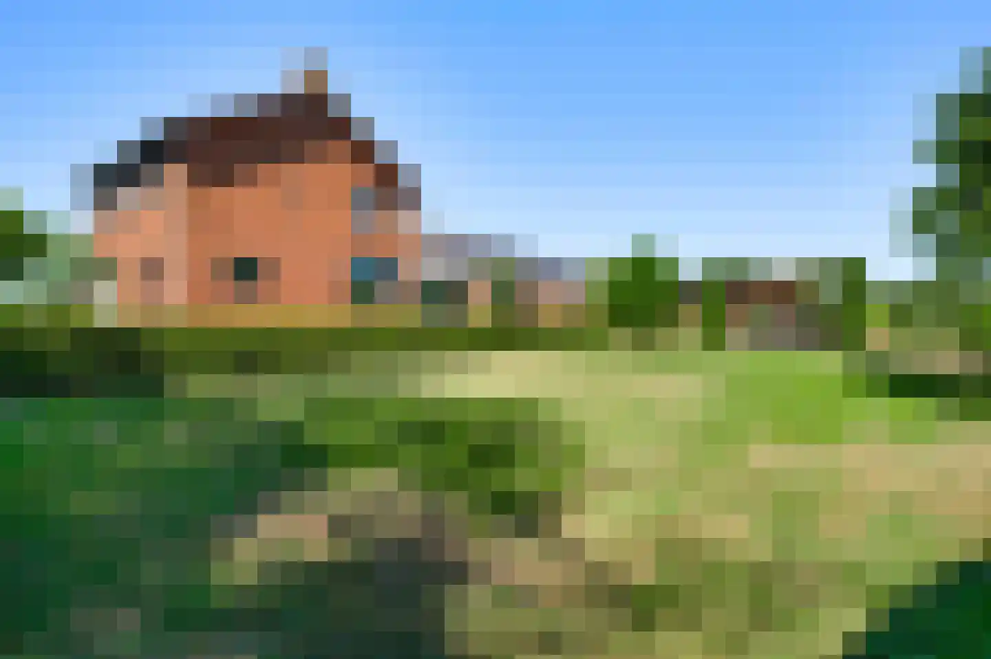 Roothweg 8 Meterik thumbnail 69