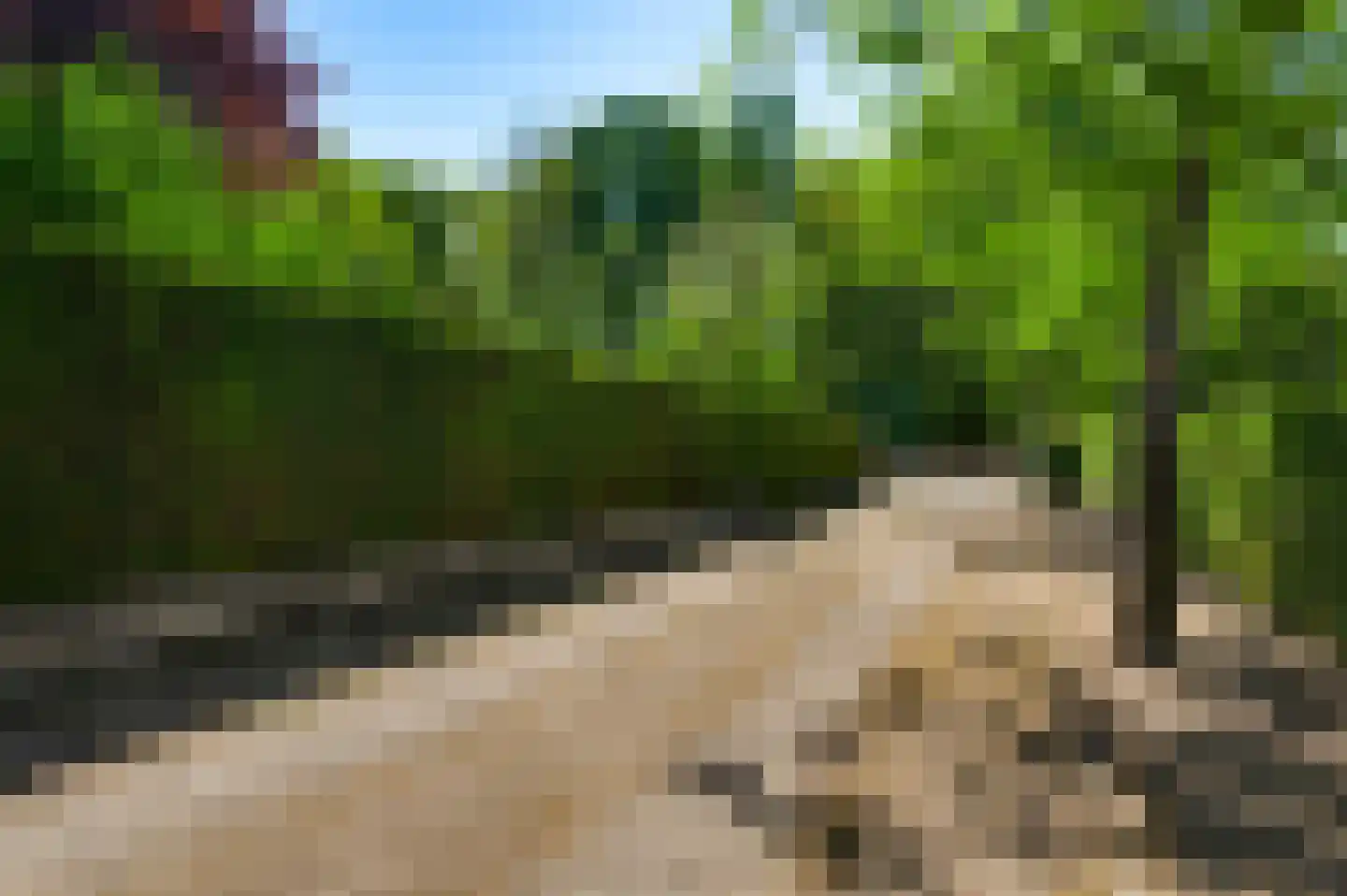 Roothweg 8 Meterik thumbnail 79