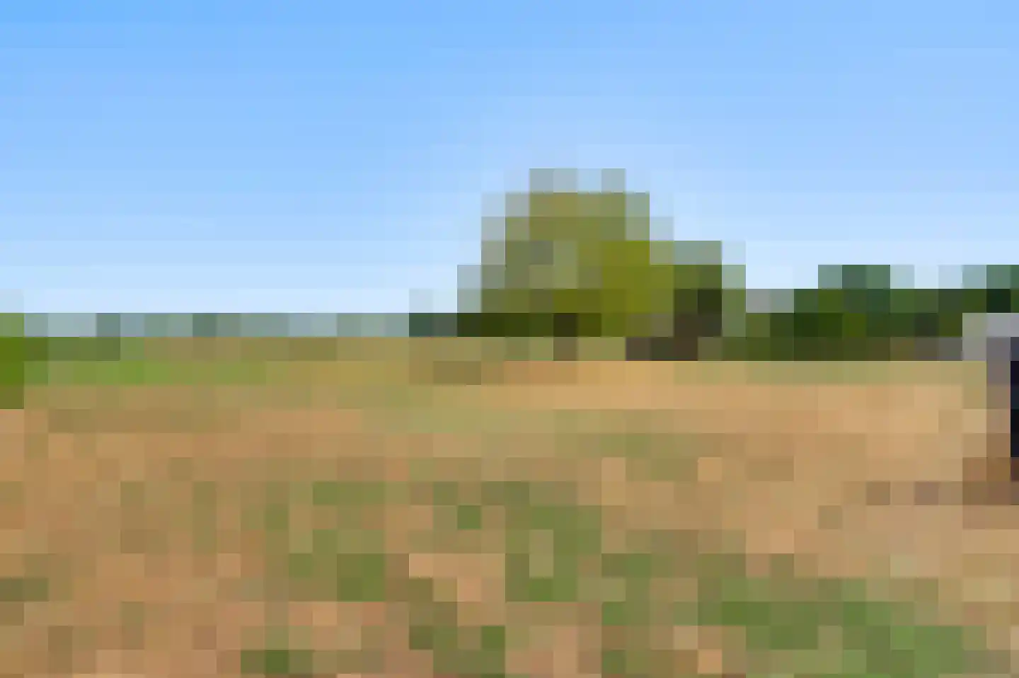 Roothweg 8 Meterik thumbnail 82