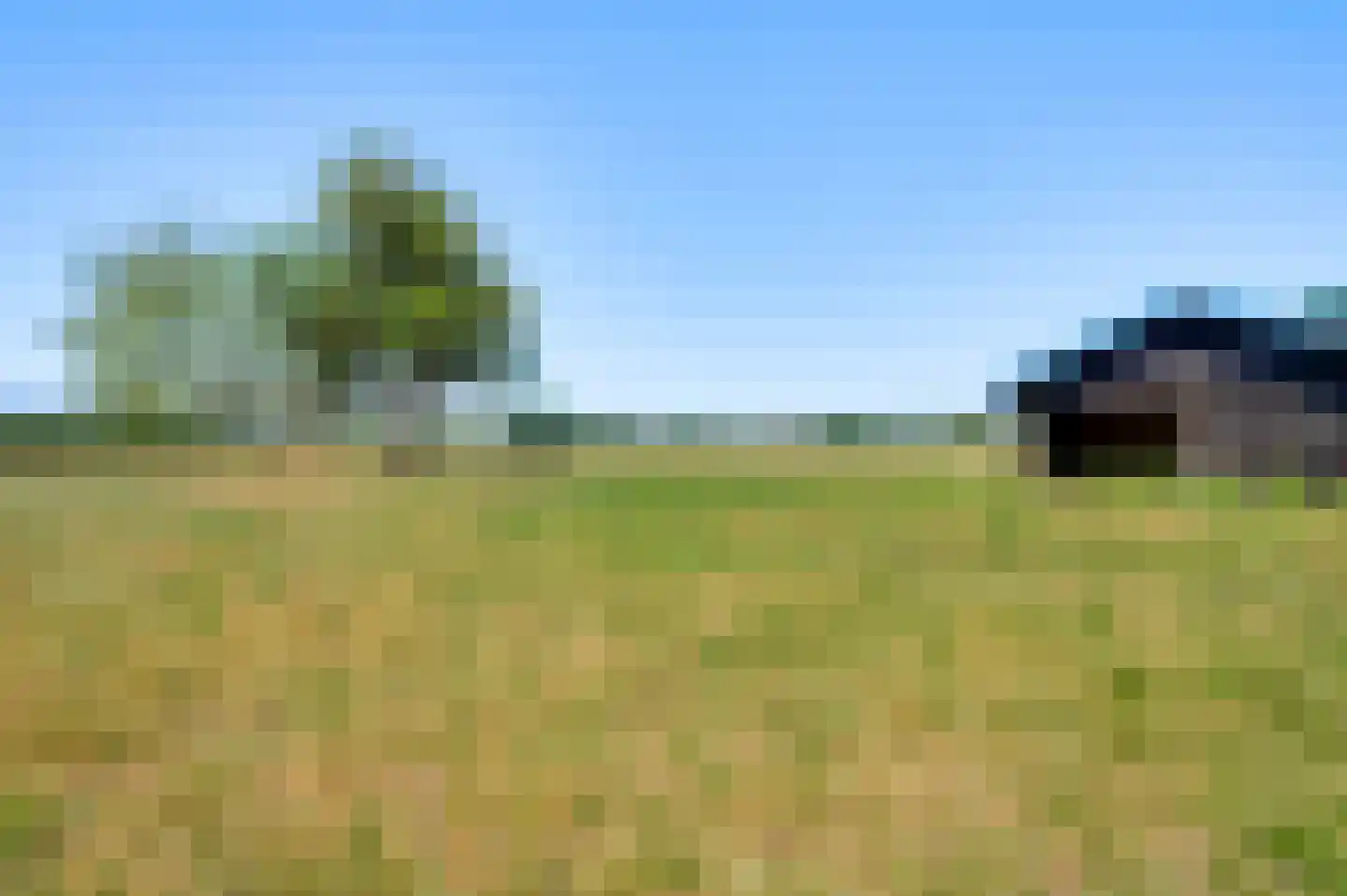 Roothweg 8 Meterik thumbnail 83