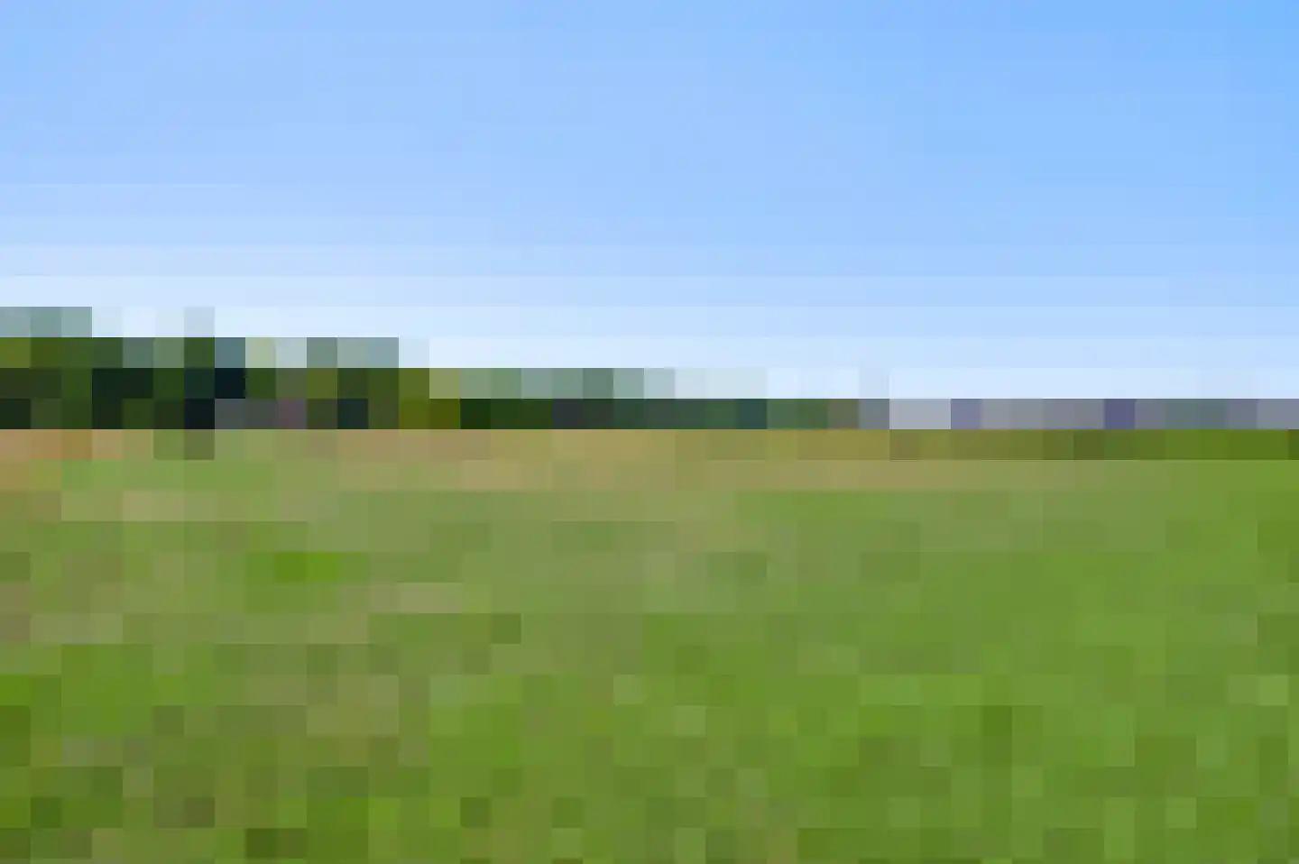 Roothweg 8 Meterik thumbnail 85