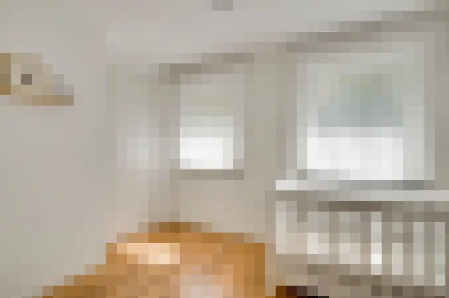 Roothweg 8 Meterik thumbnail 92