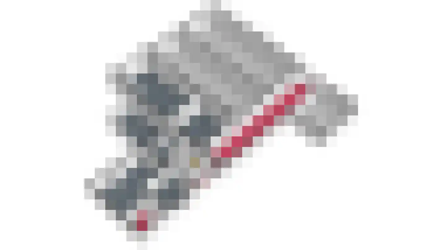 Roothweg 8 Meterik thumbnail 95