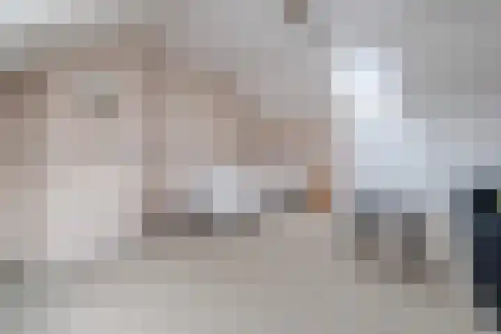 Rootselaar 17 Barneveld thumbnail 32