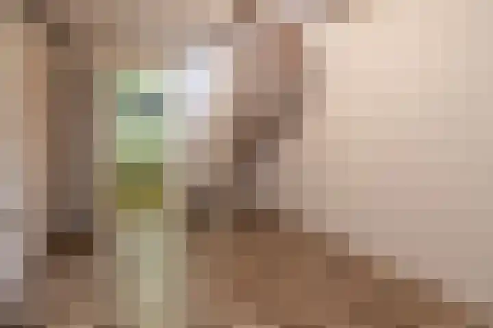 Rootselaar 17 Barneveld thumbnail 37