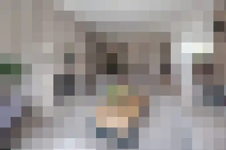 Rootselaar 17 Barneveld thumbnail 4