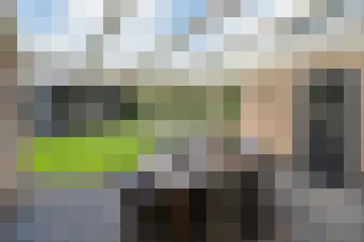 Rootselaar 17 Barneveld thumbnail 45