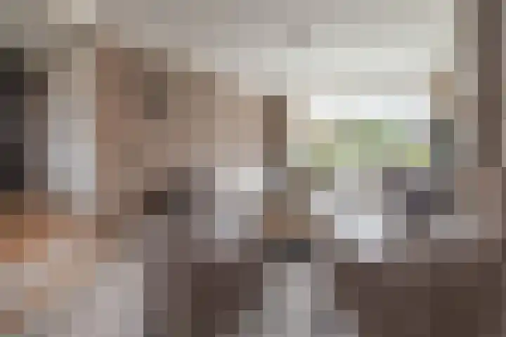 Rootselaar 17 Barneveld thumbnail 5