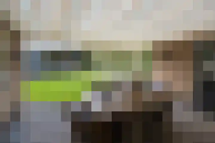 Rootselaar 17 Barneveld thumbnail 51