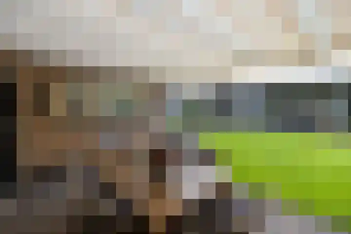 Rootselaar 17 Barneveld thumbnail 52
