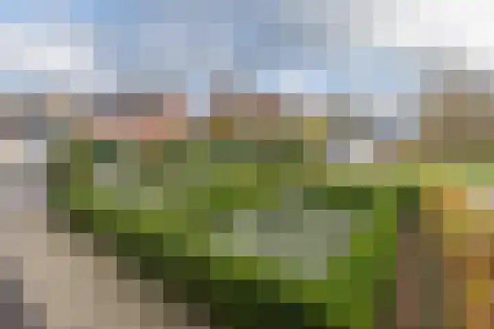 Rootselaar 17 Barneveld thumbnail 55