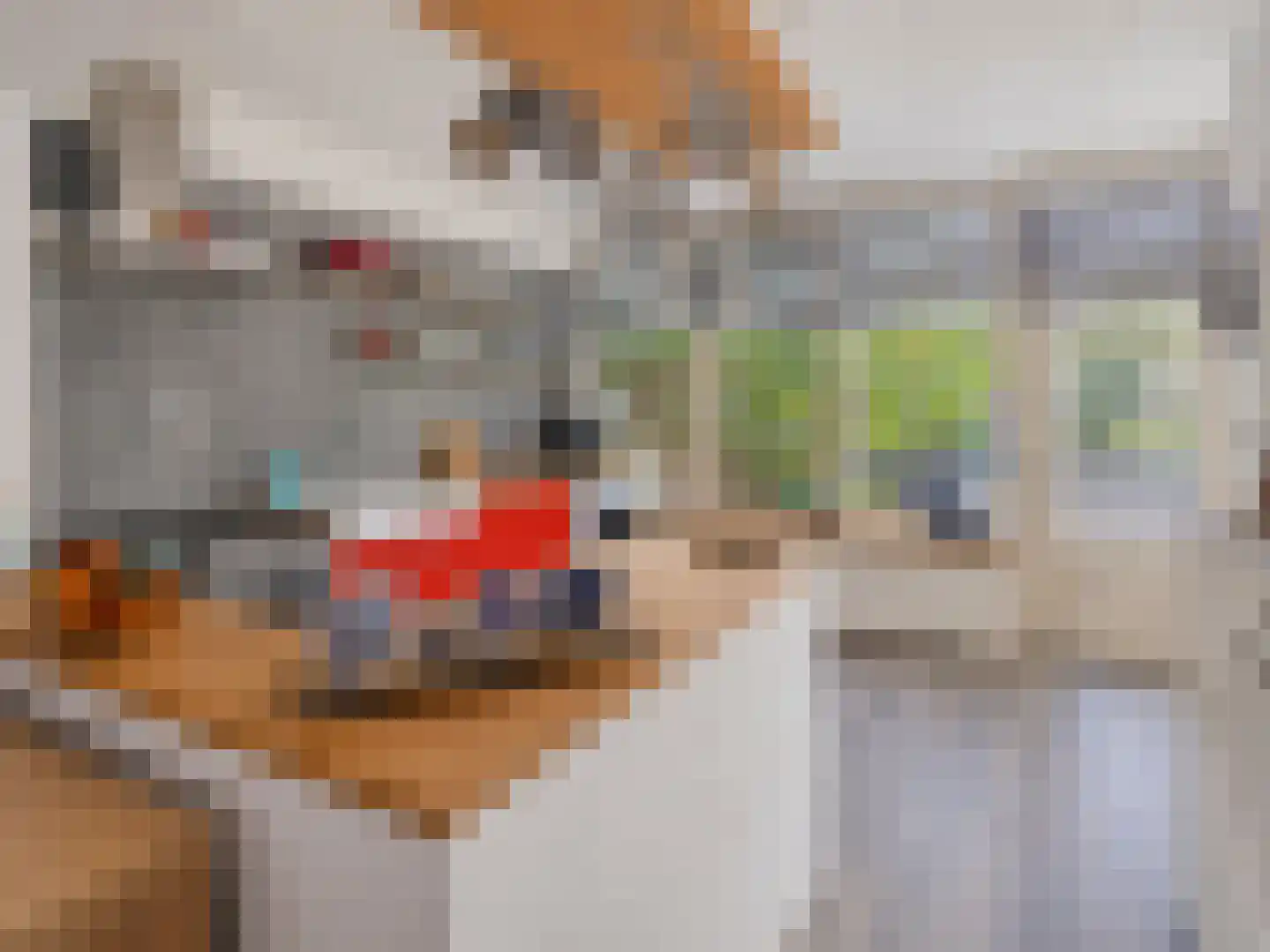 Rootstraat 3 Oss thumbnail 13