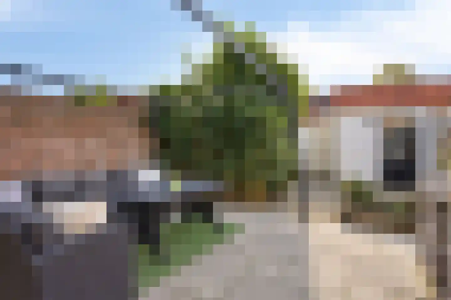 Rootstraat 3 Oss thumbnail 25