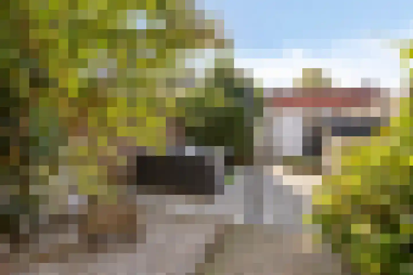 Rootstraat 3 Oss thumbnail 26