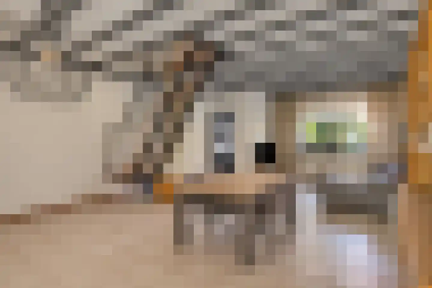 Rootstraat 3 Oss thumbnail 8