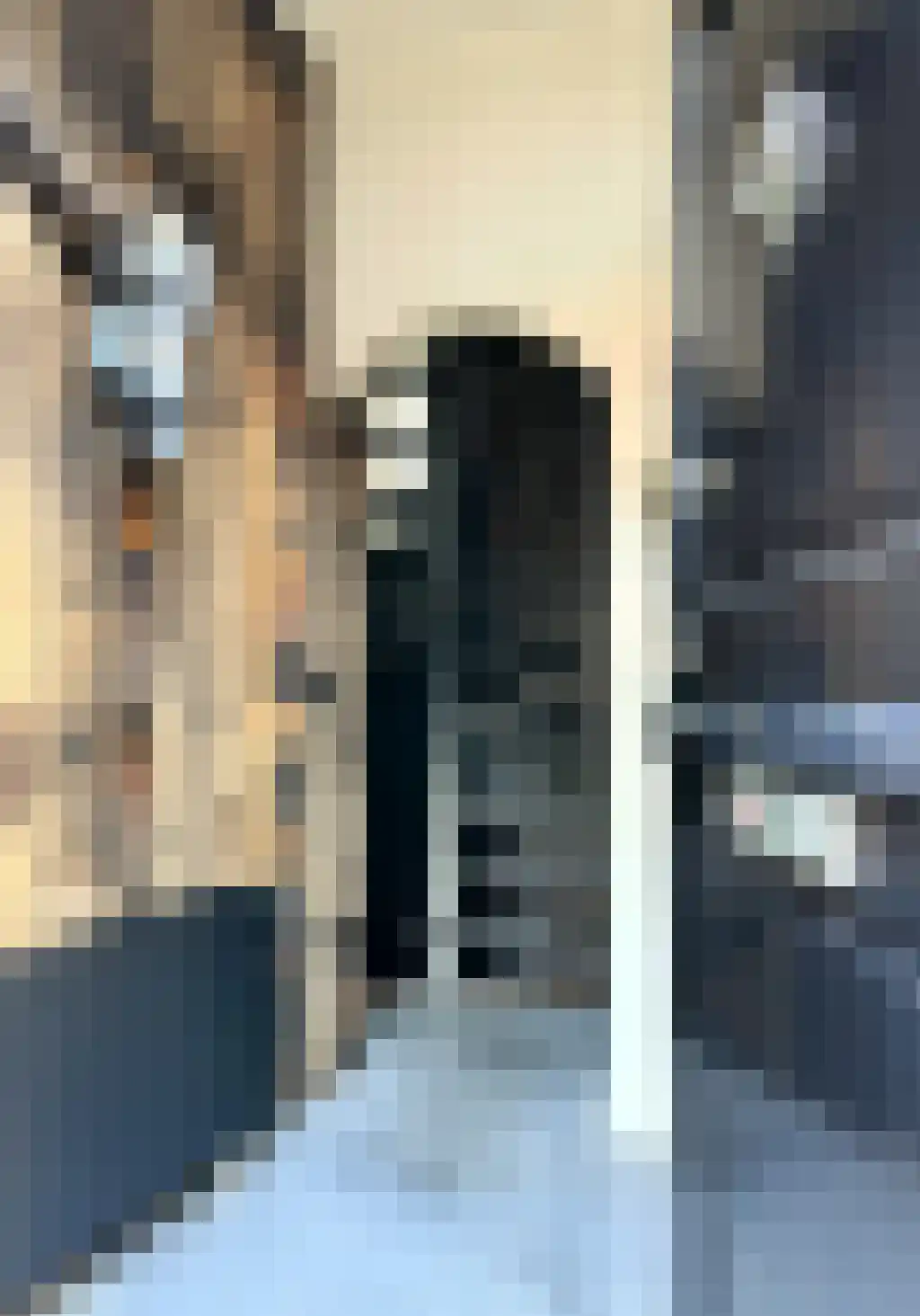 Rootstraat 9 Oudewater thumbnail 5