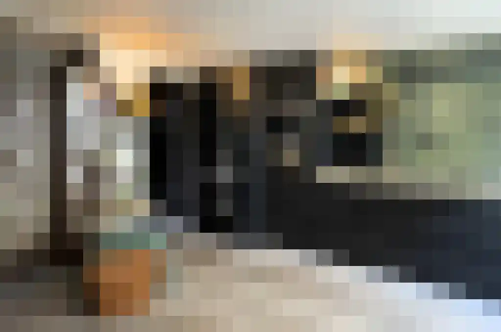 Rootstraat 9 Oudewater thumbnail 6