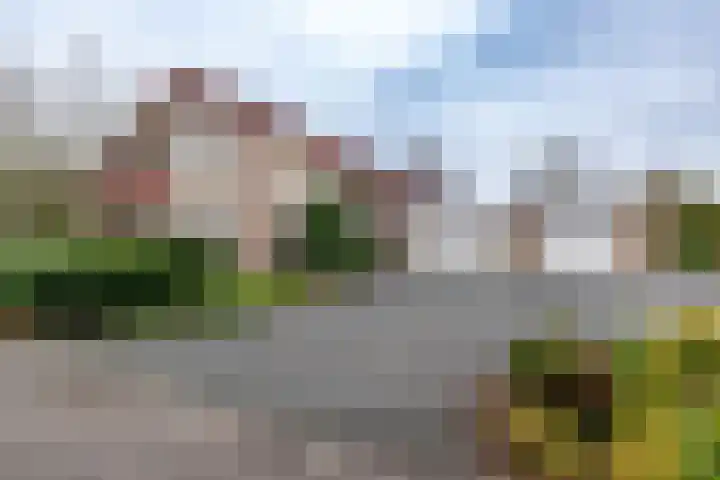 Rootveld 12 Appingedam