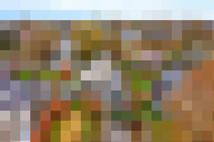 Rootveld 15 Appingedam thumbnail 10