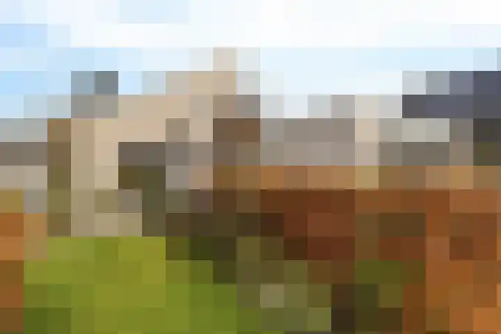 Rootveld 15 Appingedam thumbnail 12