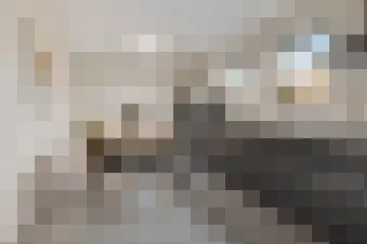 Rootveld 15 Appingedam thumbnail 22