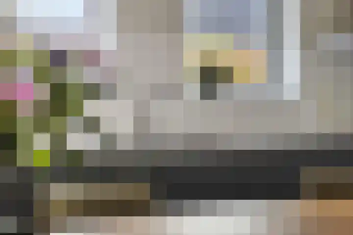 Rootveld 15 Appingedam thumbnail 23