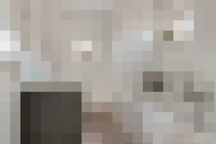 Rootveld 15 Appingedam thumbnail 28