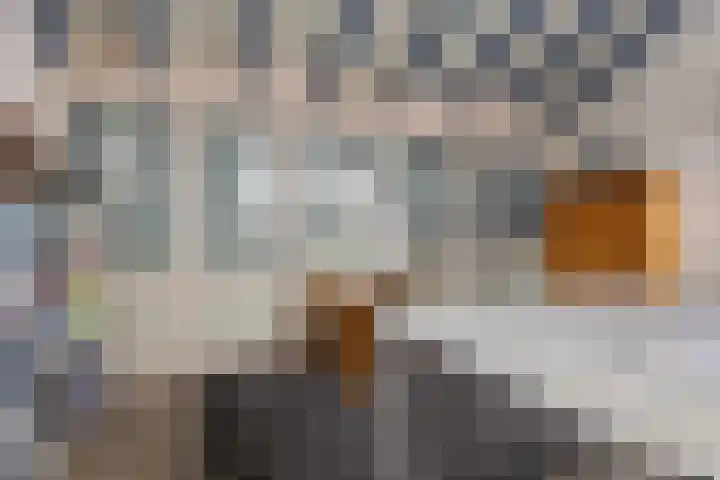 Rootveld 15 Appingedam thumbnail 36