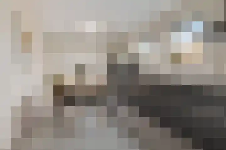 Rootveld 15 Appingedam thumbnail 4