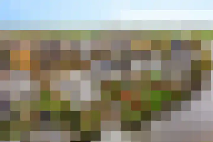 Rootveld 15 Appingedam thumbnail 42