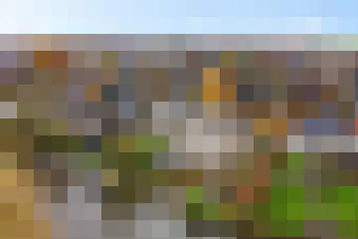 Rootveld 15 Appingedam thumbnail 43