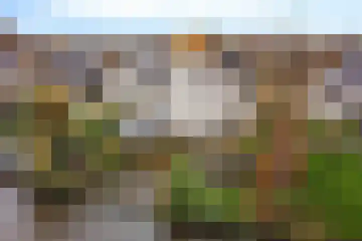 Rootveld 15 Appingedam thumbnail 44