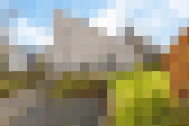 Rootveld 15 Appingedam thumbnail 45