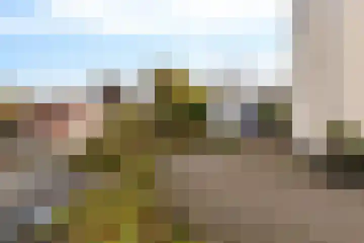 Rootveld 15 Appingedam thumbnail 47