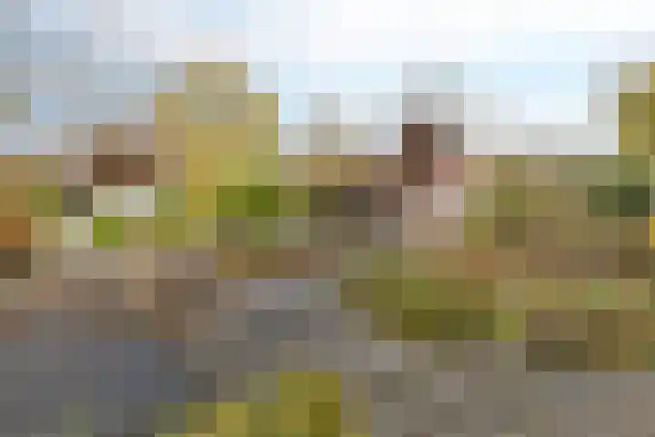 Rootveld 15 Appingedam thumbnail 49