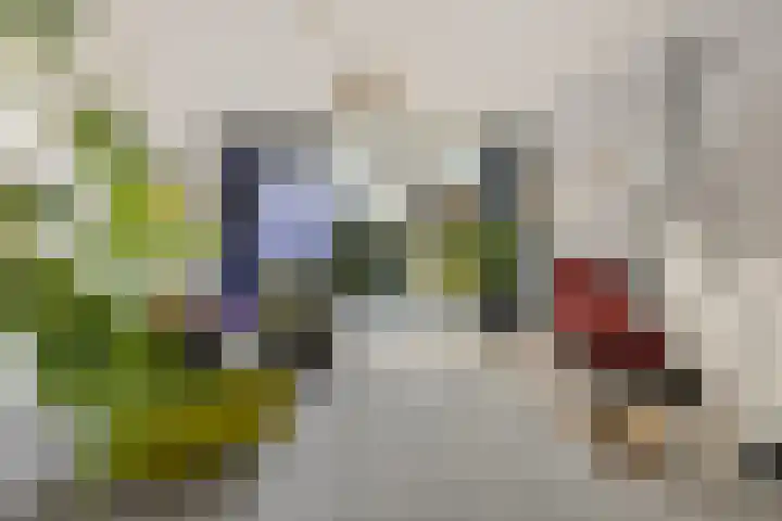 Rootveld 15 Appingedam thumbnail 5