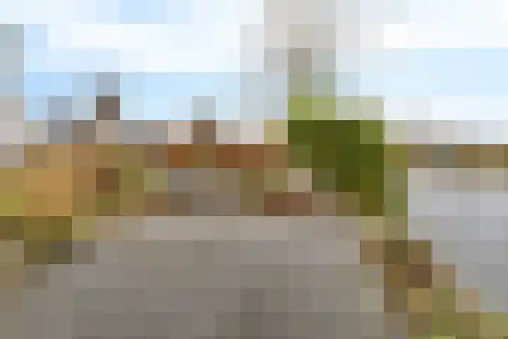 Rootveld 15 Appingedam thumbnail 50