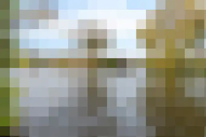 Rootveld 15 Appingedam thumbnail 51