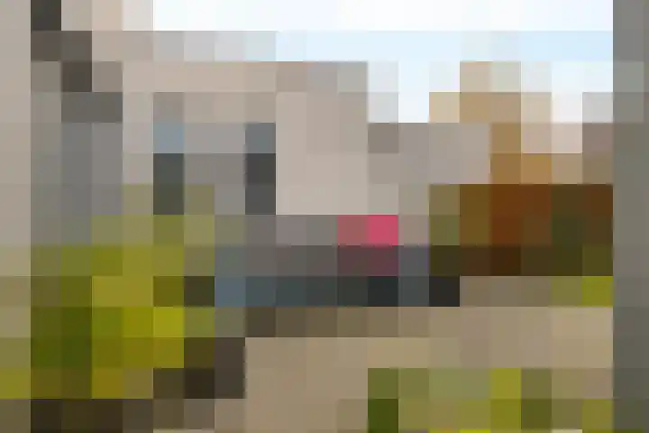 Rootveld 15 Appingedam thumbnail 53