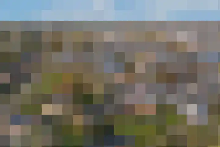 Rootveld 15 Appingedam thumbnail 7