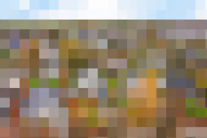 Rootveld 15 Appingedam thumbnail 9